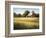 Country Meadow II-David Marty-Framed Giclee Print