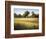 Country Meadow II-David Marty-Framed Giclee Print