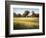 Country Meadow II-David Marty-Framed Giclee Print