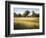 Country Meadow II-David Marty-Framed Giclee Print