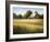 Country Meadow II-David Marty-Framed Giclee Print