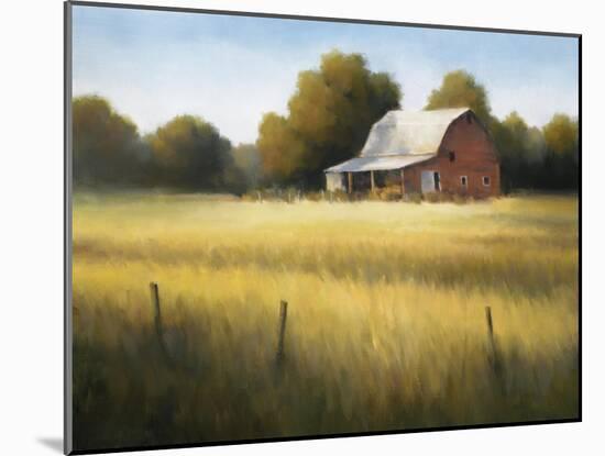 Country Meadow II-David Marty-Mounted Giclee Print