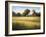 Country Meadow II-David Marty-Framed Giclee Print