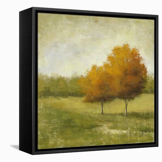 Country Meadow-Jill Schultz McGannon-Framed Stretched Canvas