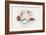 Country Pig-Debbie McMaster-Framed Giclee Print