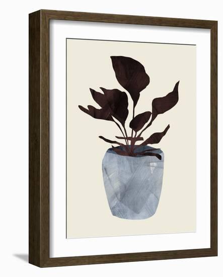 Country Plant-Dan Hobday-Framed Photographic Print