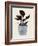 Country Plant-Dan Hobday-Framed Photographic Print