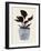 Country Plant-Dan Hobday-Framed Photographic Print