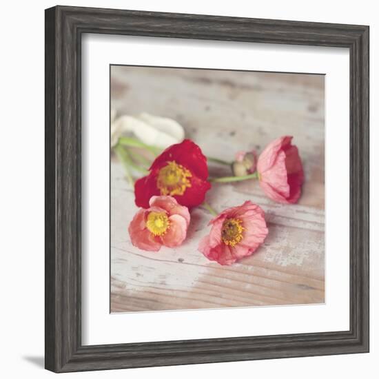 Country Poppies-Mandy Lynne-Framed Art Print