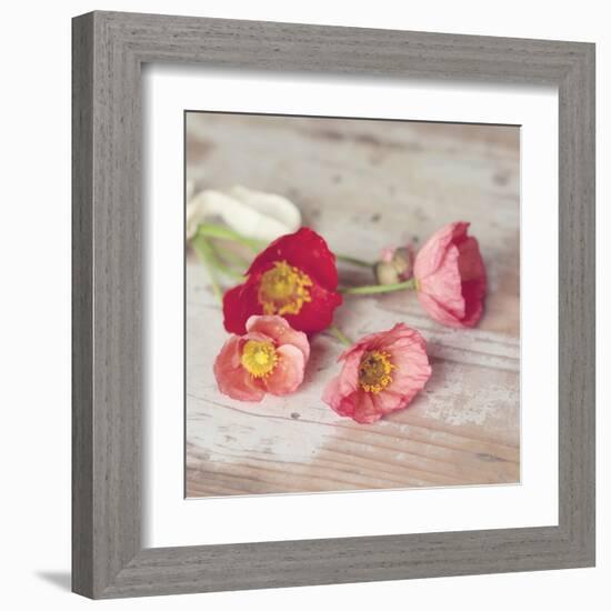 Country Poppies-Mandy Lynne-Framed Art Print