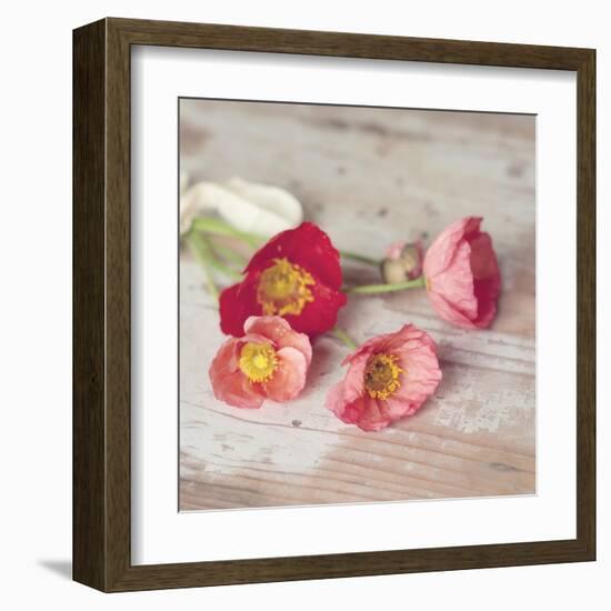 Country Poppies-Mandy Lynne-Framed Art Print