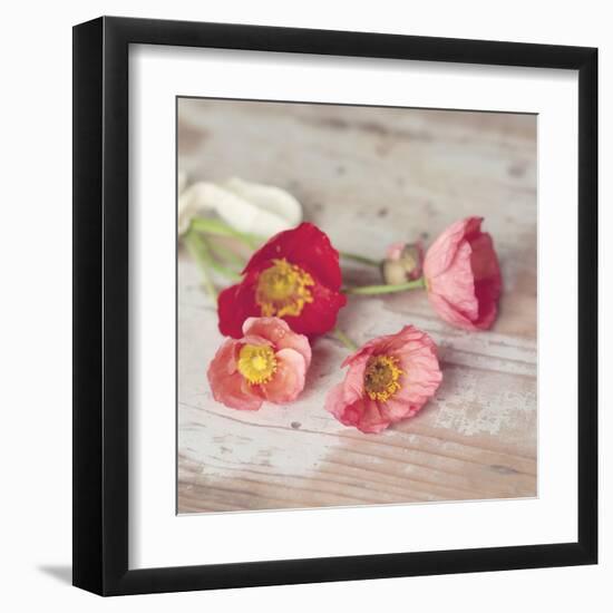 Country Poppies-Mandy Lynne-Framed Art Print