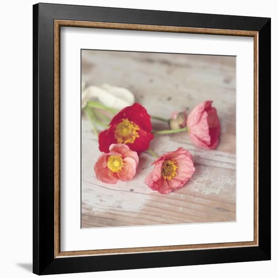 Country Poppies-Mandy Lynne-Framed Art Print