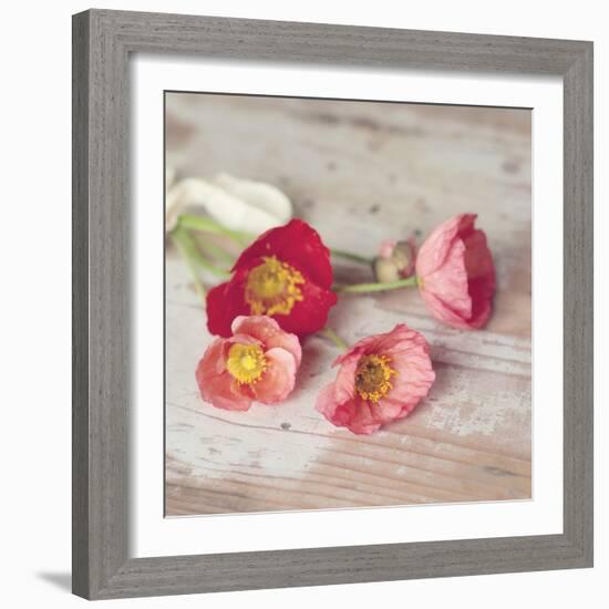 Country Poppies-Mandy Lynne-Framed Art Print