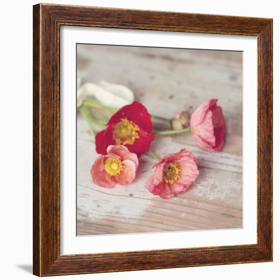 Country Poppies-Mandy Lynne-Framed Art Print