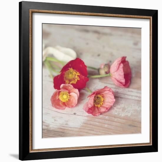 Country Poppies-Mandy Lynne-Framed Art Print