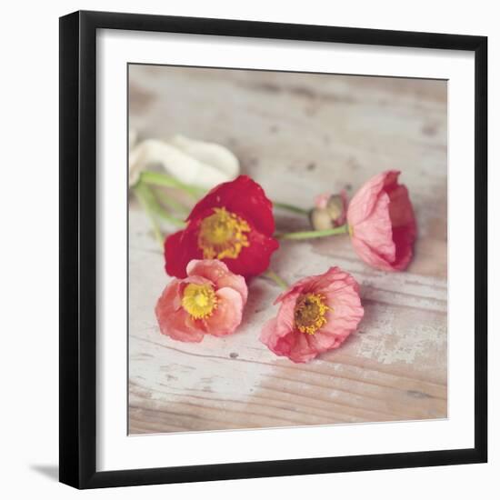 Country Poppies-Mandy Lynne-Framed Art Print