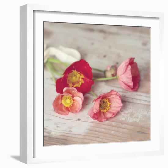 Country Poppies-Mandy Lynne-Framed Art Print