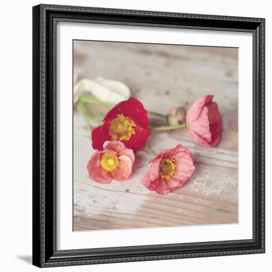 Country Poppies-Mandy Lynne-Framed Art Print