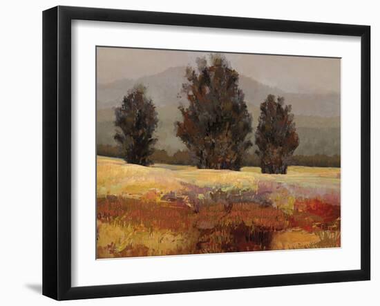 Country Reflection - Stroll-Mark Chandon-Framed Giclee Print