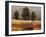 Country Reflection - Stroll-Mark Chandon-Framed Giclee Print