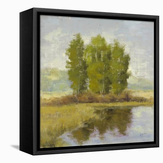 Country Reflections-Jill Schultz McGannon-Framed Stretched Canvas