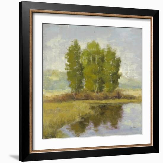 Country Reflections-Jill Schultz McGannon-Framed Art Print