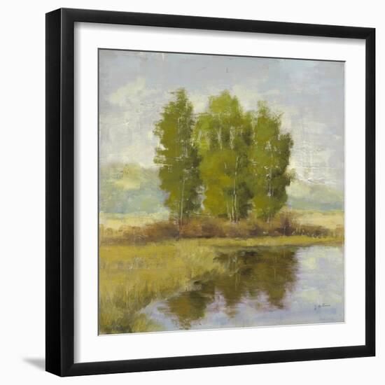 Country Reflections-Jill Schultz McGannon-Framed Art Print