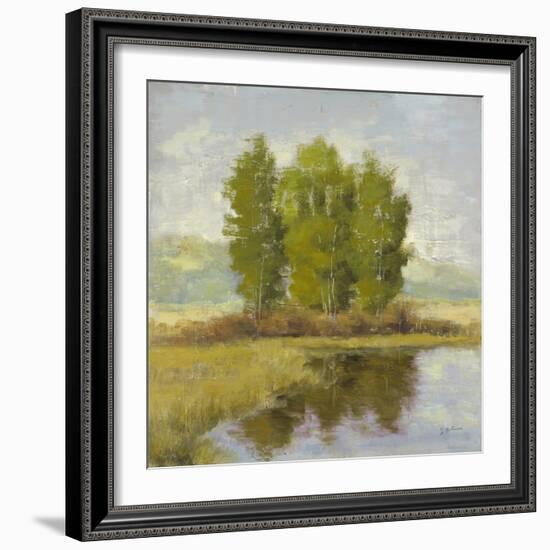 Country Reflections-Jill Schultz McGannon-Framed Art Print