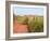 Country Road and Farm, Prince Edward Island, Canada-Julie Eggers-Framed Photographic Print