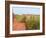 Country Road and Farm, Prince Edward Island, Canada-Julie Eggers-Framed Photographic Print