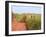 Country Road and Farm, Prince Edward Island, Canada-Julie Eggers-Framed Photographic Print