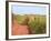 Country Road and Farm, Prince Edward Island, Canada-Julie Eggers-Framed Photographic Print