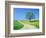 Country road and tree, spring-Herbert Kehrer-Framed Photographic Print