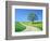 Country road and tree, spring-Herbert Kehrer-Framed Photographic Print