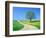 Country road and tree, spring-Herbert Kehrer-Framed Photographic Print