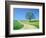 Country road and tree, spring-Herbert Kehrer-Framed Photographic Print