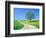 Country road and tree, spring-Herbert Kehrer-Framed Photographic Print