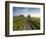 Country road between agricultural fields in England-Peter Adams-Framed Photographic Print