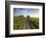 Country road between agricultural fields in England-Peter Adams-Framed Photographic Print