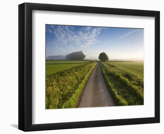 Country road between agricultural fields in England-Peter Adams-Framed Photographic Print