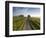 Country road between agricultural fields in England-Peter Adams-Framed Photographic Print