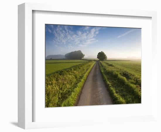 Country road between agricultural fields in England-Peter Adams-Framed Photographic Print