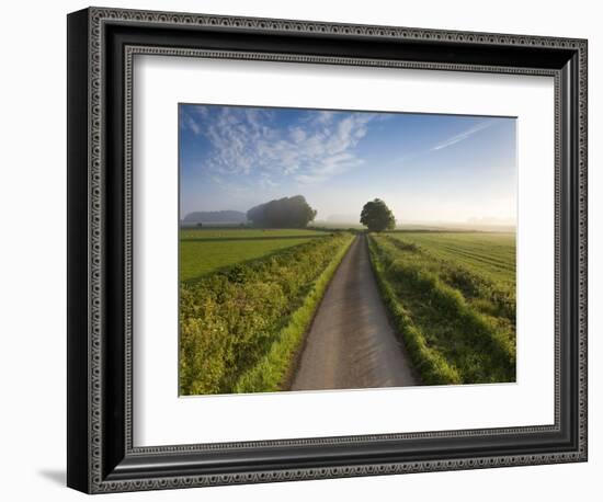 Country road between agricultural fields in England-Peter Adams-Framed Photographic Print