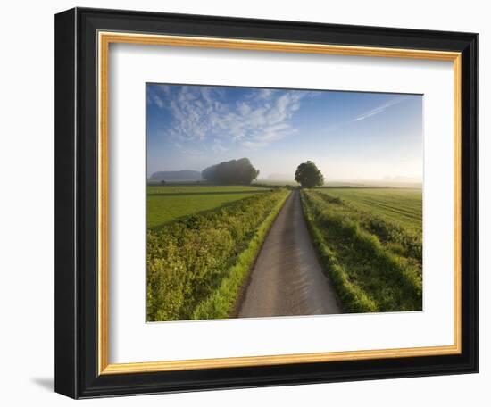 Country road between agricultural fields in England-Peter Adams-Framed Photographic Print