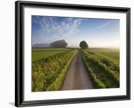 Country road between agricultural fields in England-Peter Adams-Framed Photographic Print