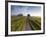 Country road between agricultural fields in England-Peter Adams-Framed Photographic Print