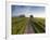 Country road between agricultural fields in England-Peter Adams-Framed Photographic Print