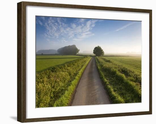 Country road between agricultural fields in England-Peter Adams-Framed Photographic Print