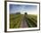 Country road between agricultural fields in England-Peter Adams-Framed Photographic Print